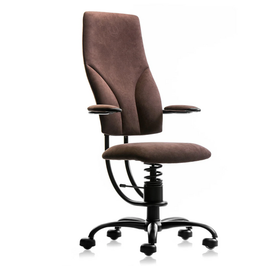 Chair SpinaliS Navigator