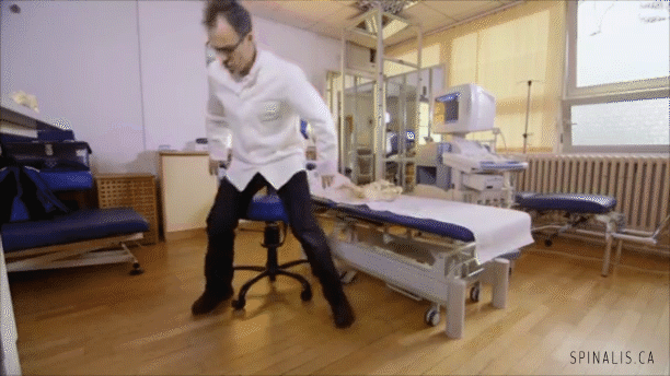 Regular Office Chairs vs Standing Desks vs Chairs for Active Sitting | Case Study - Spinalis Chairs Canada & USA
