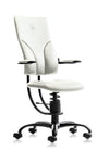 SpinaliS Chair Apollo - Spinalis Chairs Canada & USA